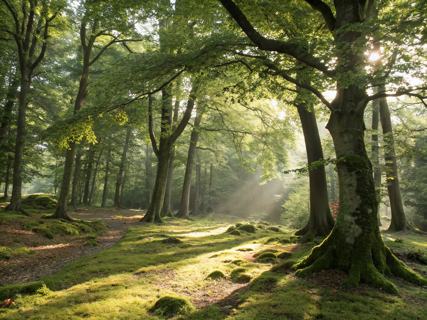 5 Minute Journal Tim Ferriss Tips for Kids’ Halloween Fun