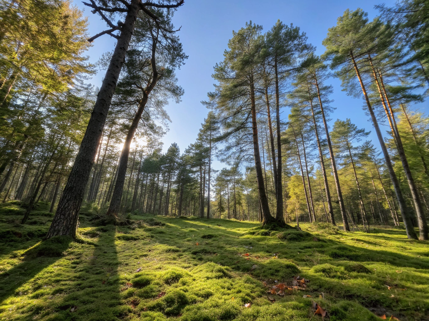 Best Journals for Kids to Boost Creativity This Halloween